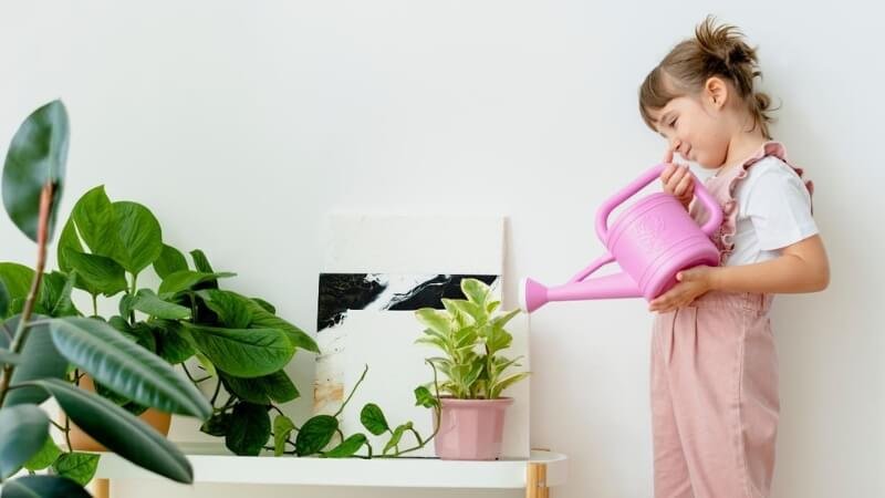 Plantas Interior Seguras para Hogares con Niños Pequeños