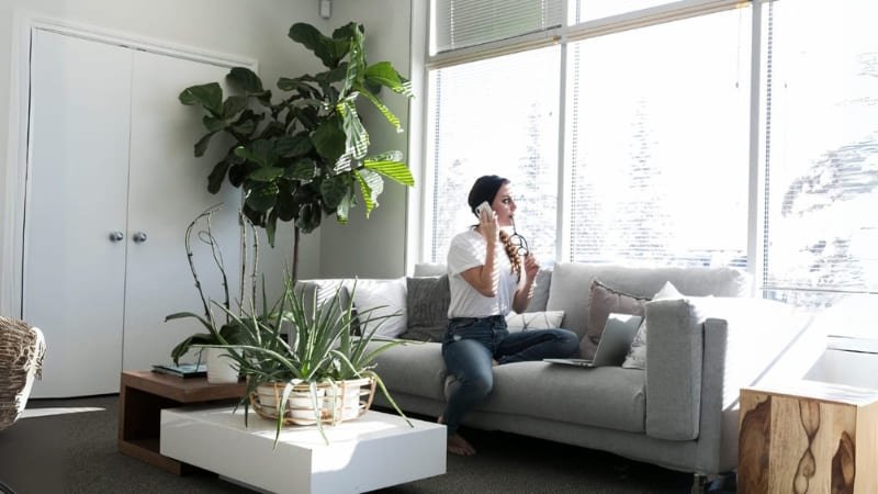 Plantas para interiores modernos: las mejores opciones