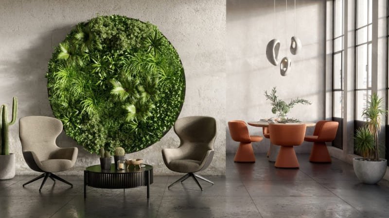 Plantas para interiores modernos: las mejores opciones