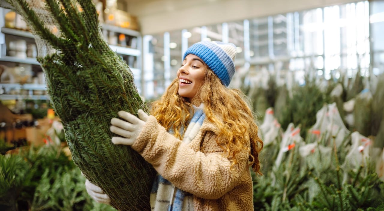 Plantas el invierno: Mejores cuidados para mantenerlas saludables