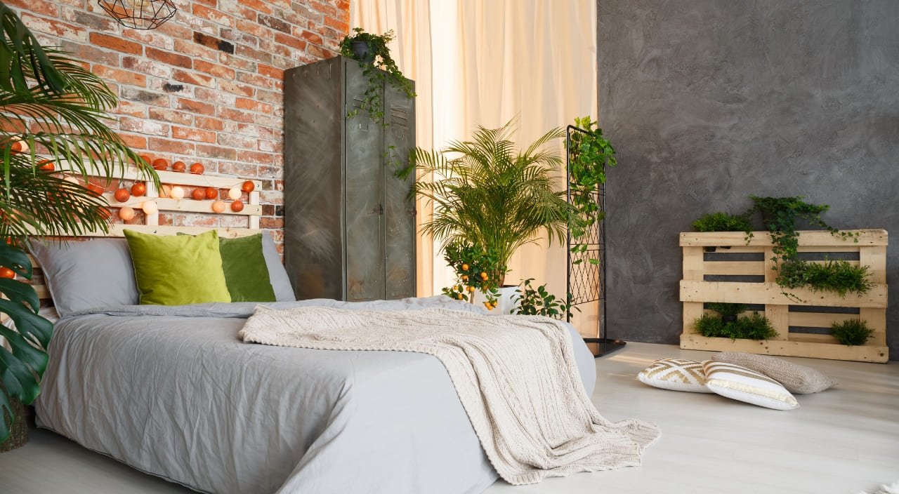 Plantas para dormitorio con poca luz: seguras y beneficiosas