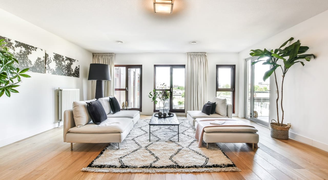 Top 5 plantas grandes para interiores espaciosos