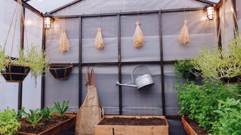 Criar um Jardim Sustentável e de Baixa Manutenção