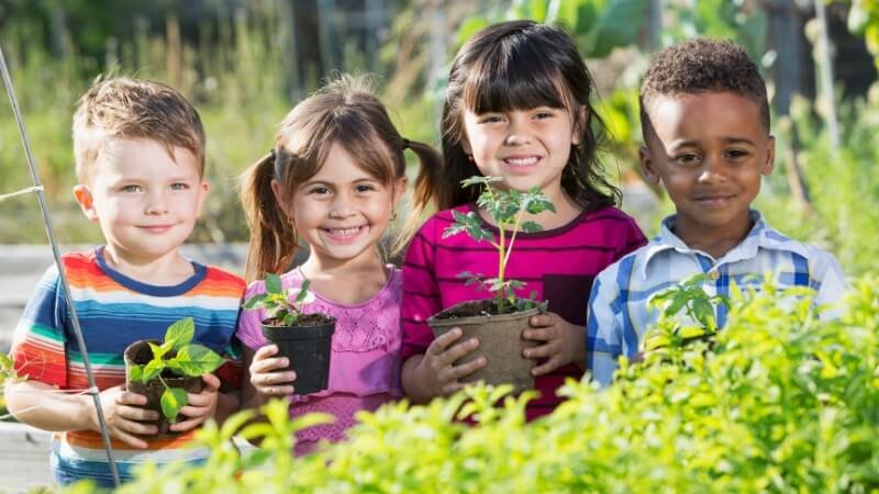 Como ensinar crianças a plantar. Um grupo de crianças entre 3 a 4 anos cuidando de plantas em um jardim