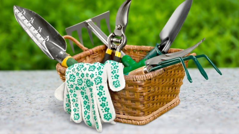 Melhores ferramentas de jardinagem para iniciantes: O que realmente você precisa