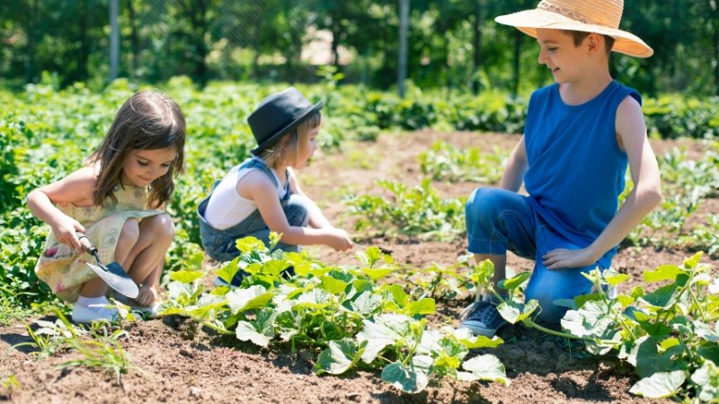 Jardinagem para fazer com crianças em casa como aprendizado