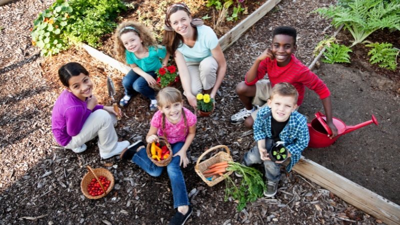 10 Atividades de jardinagem para fazer com crianças em casa