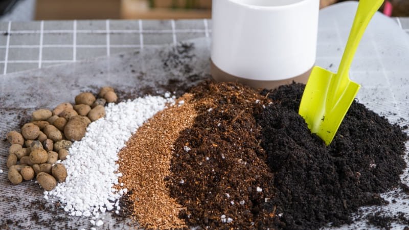 Solo Ideal para Jardinagem de Baixa Manutenção_ (Foto Freepik)
