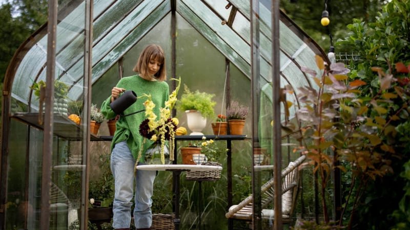 Como regar as plantas da maneira certa: Dicas para iniciantes na jardinagem