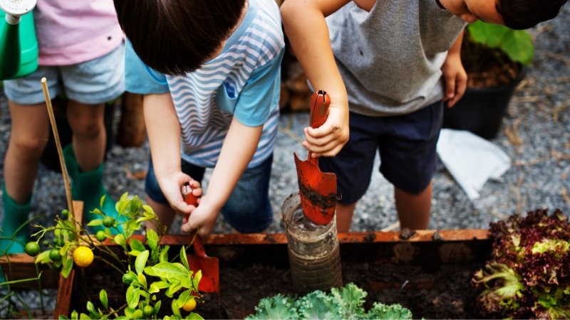Jardinagem para crianças: Como ensinar plantio de forma divertida guia completo
