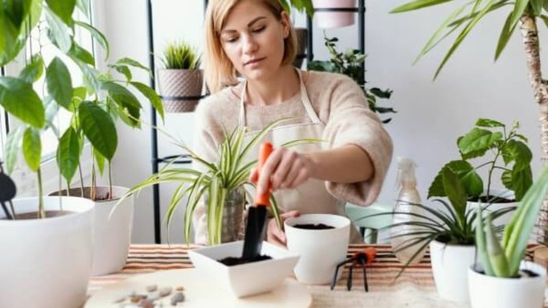 Jardinagem para iniciantes: Como começar do zero guia completo