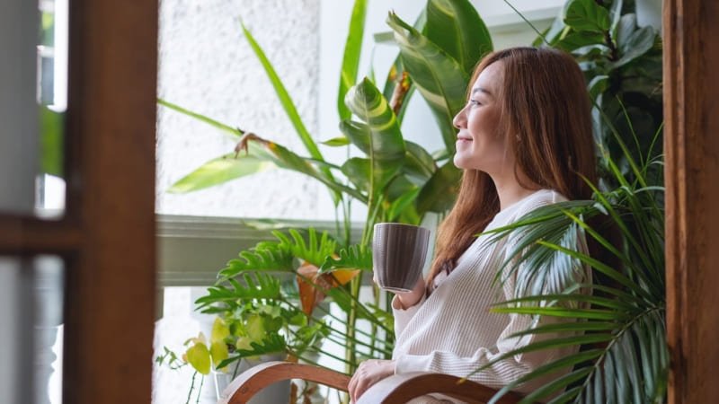 Las mejores plantas para balcones cerrados: Guía completa