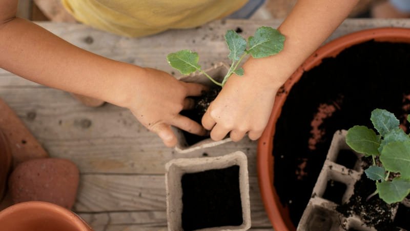 Erros comuns ao iniciar crianças na jardinagem