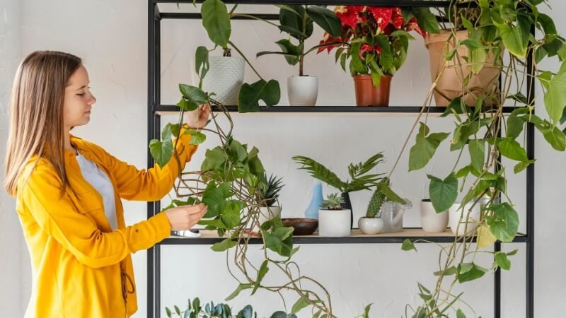 manter um jardim em apartamento