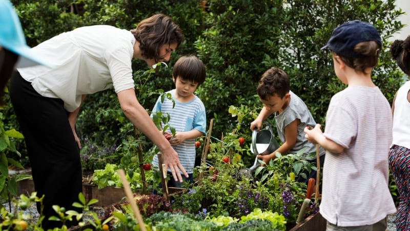 Jardinagem em escola infantil: 5 projetos para inspirar