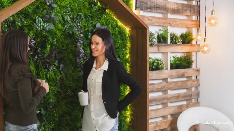 Jardim vertical: como decorar paredes com plantas