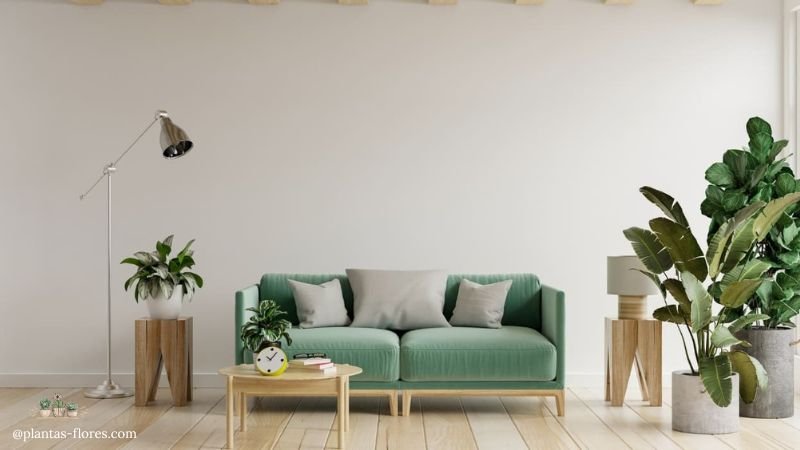 Como usar plantas na decoração de interiores